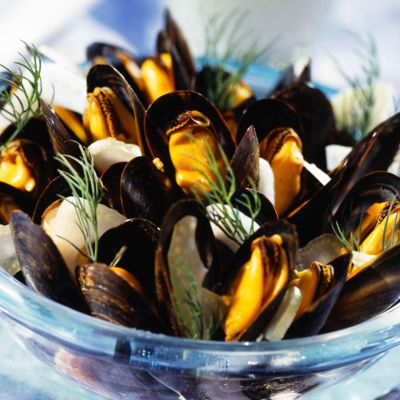 Recipe Mussels with Fennel - FRIJE